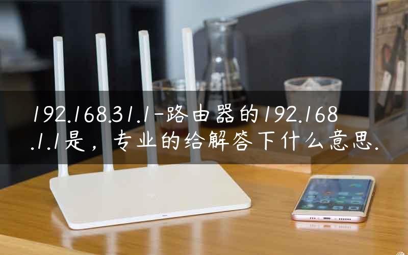 192.168.31.1-路由器的192.168.1.1是，专业的给解答下什么意思.